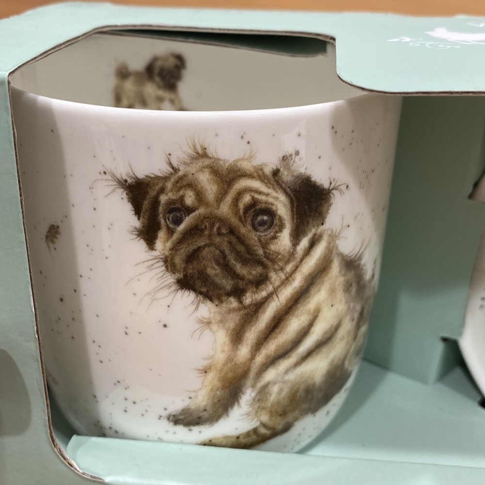 NWT. Royal Worcester, mug and coaster set. - Picture 3 of 8